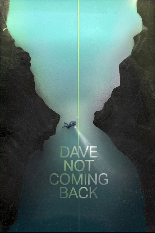 Dave Not Coming Back (2020) movie poster