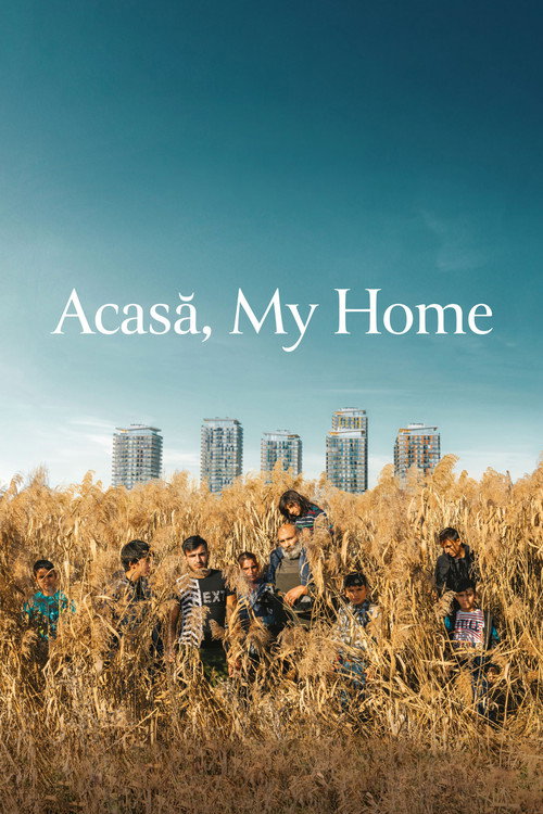 Acasă, My Home (2020) movie poster