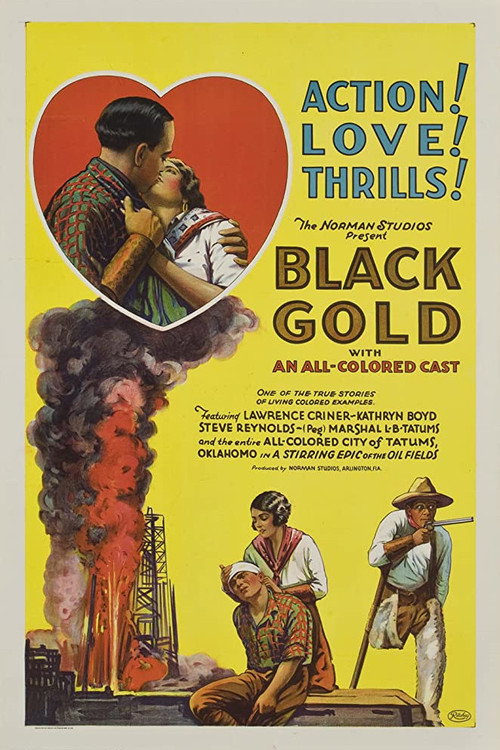 Black Gold (1928) movie poster
