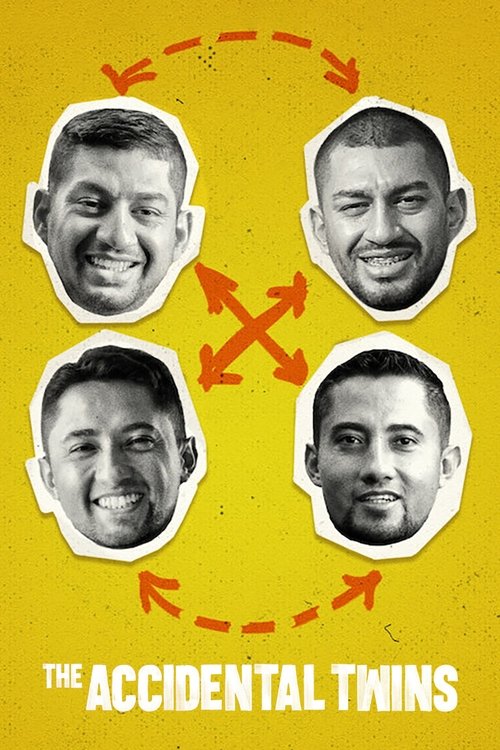 The Accidental Twins (2024) movie poster