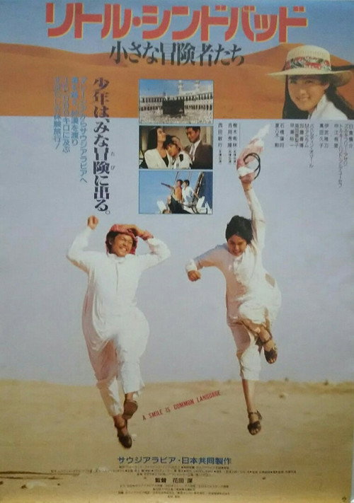 The Voyage Of Little Sinbad (1991) movie poster