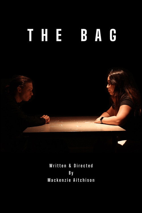 The Bag (2024) movie poster