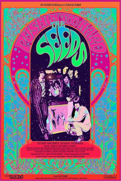 The Seeds: Pushin' Too Hard (2014) movie poster