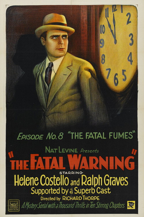 The Fatal Warning (1929) movie poster