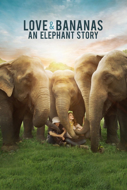 Love & Bananas: An Elephant Story (2018) movie poster
