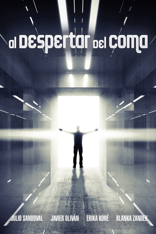 Waking Up From the Coma (2015) movie poster