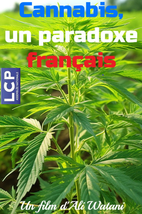 Cannabis, un paradoxe français (2025) movie poster