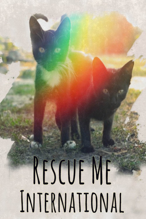 Rescue Me: International (2020) movie poster