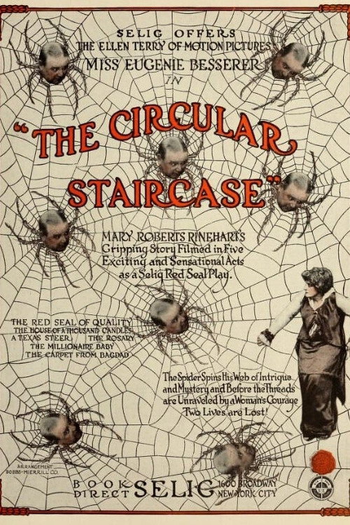 The Circular Staircase (1915) movie poster