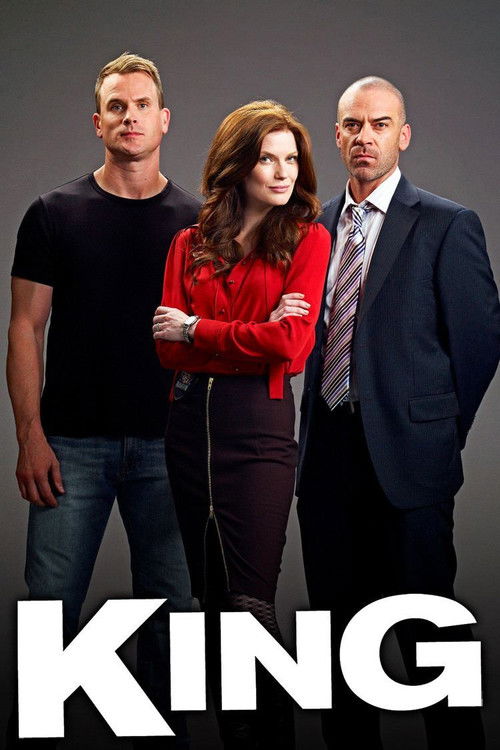 King (2011) TV show poster