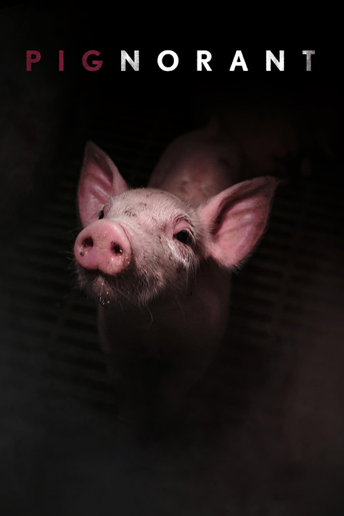 Pignorant (2024) movie poster