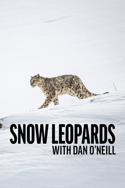 Snow Leopards with Dan O'Neill (2025) TV show poster