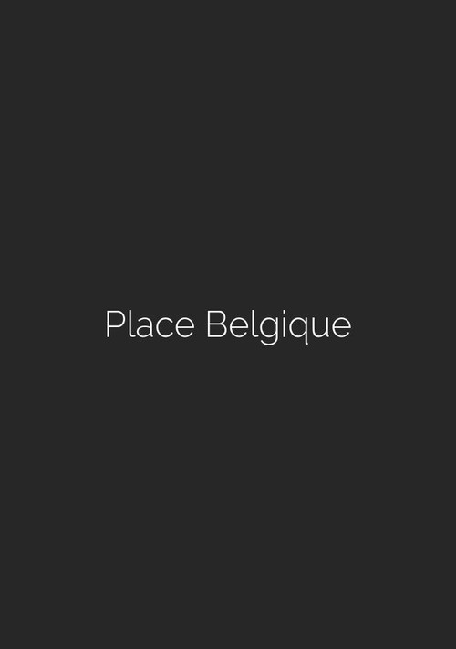 Place Belgique movie poster