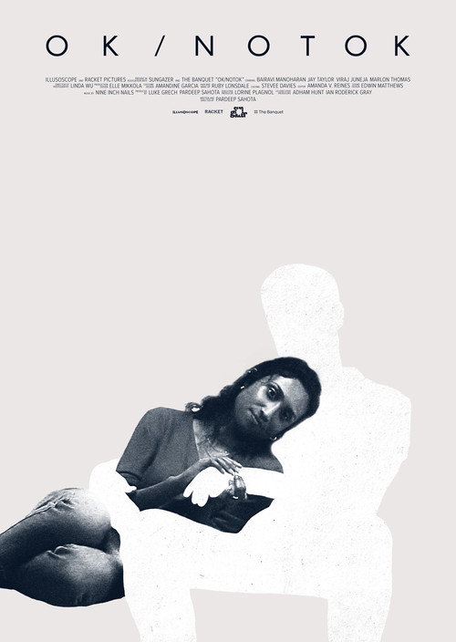 OK/NOTOK (2024) movie poster
