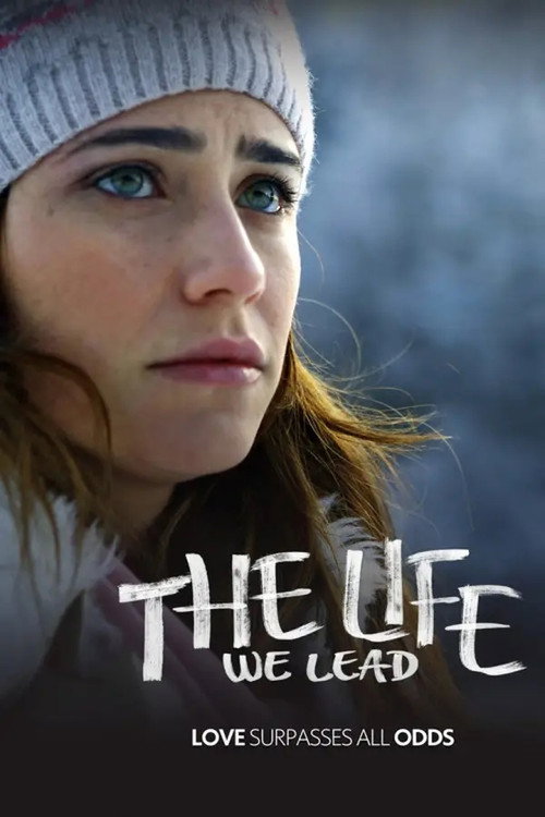 The Life We Lead (2011) TV show poster
