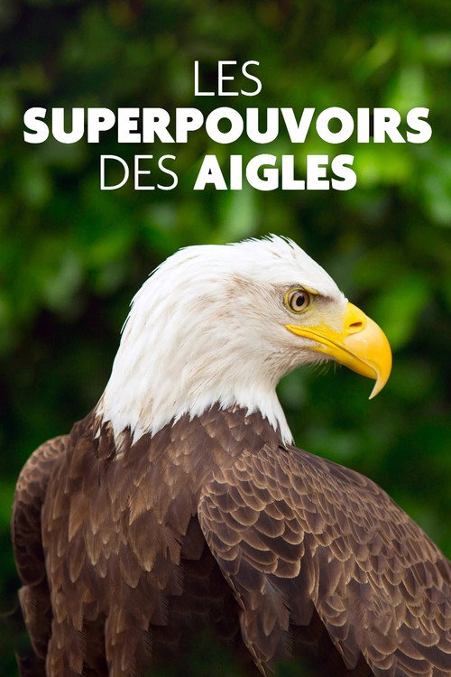 Superpowered Eagles (2021) movie poster