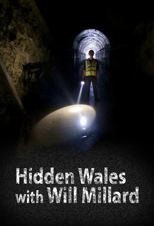 Hidden Wales with Will Millard (2018) TV show poster