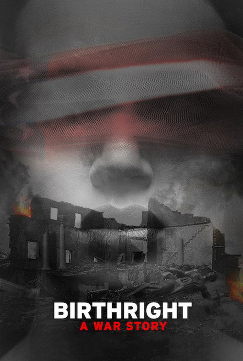 Birthright: A War Story (2017) movie poster