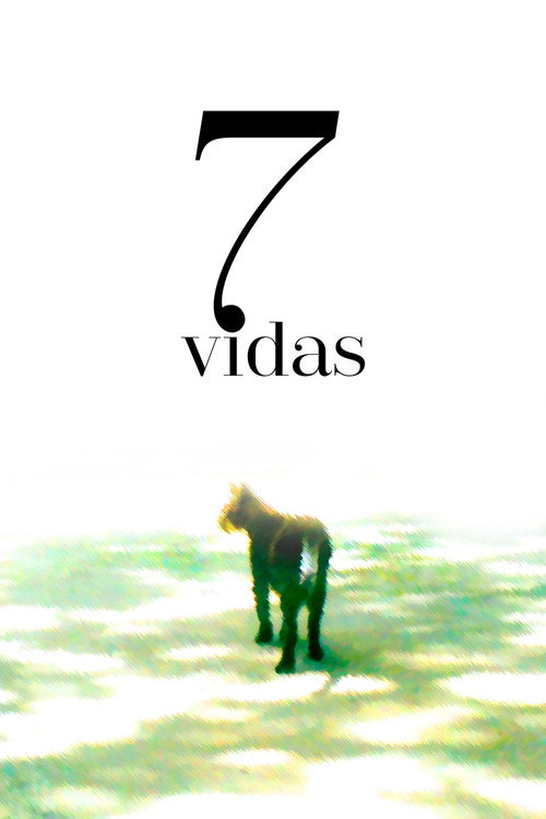 7 Vidas (2025) movie poster