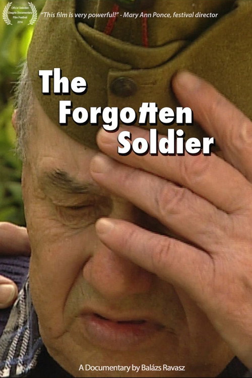 The Forgotten Soldier (2010) movie poster