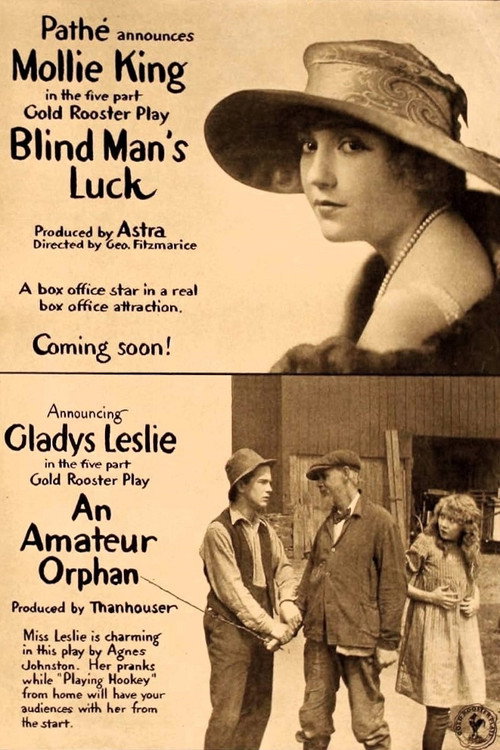 Blind Man's Luck (1917) movie poster