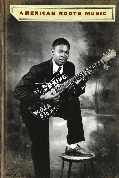 American Roots Music (2001) TV show poster