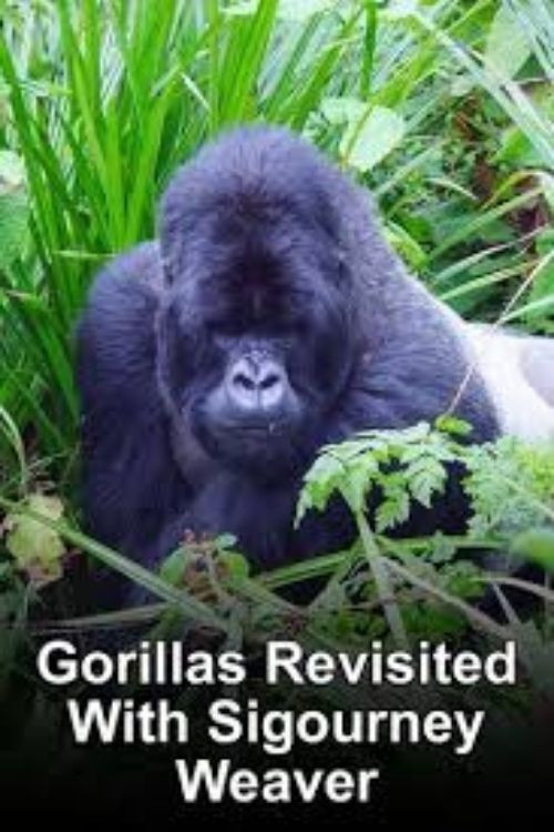 Gorillas Revisited with Sigourney Weaver (2006) movie poster