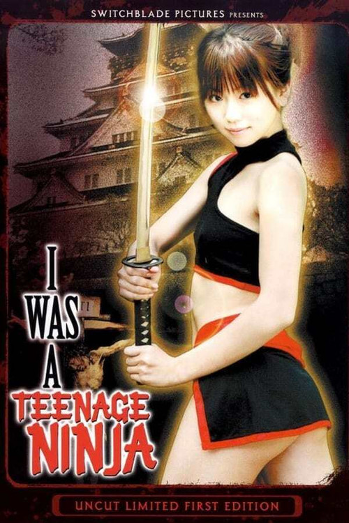 I Was a Teenage Ninja (2007) movie poster