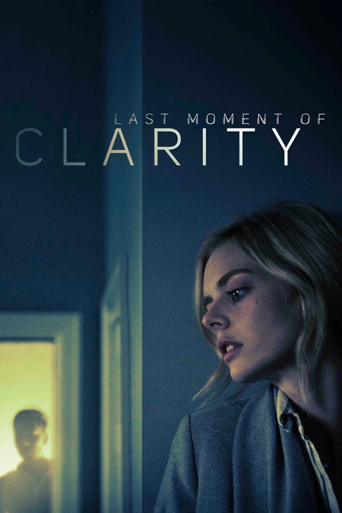 Last Moment of Clarity (2020) movie poster