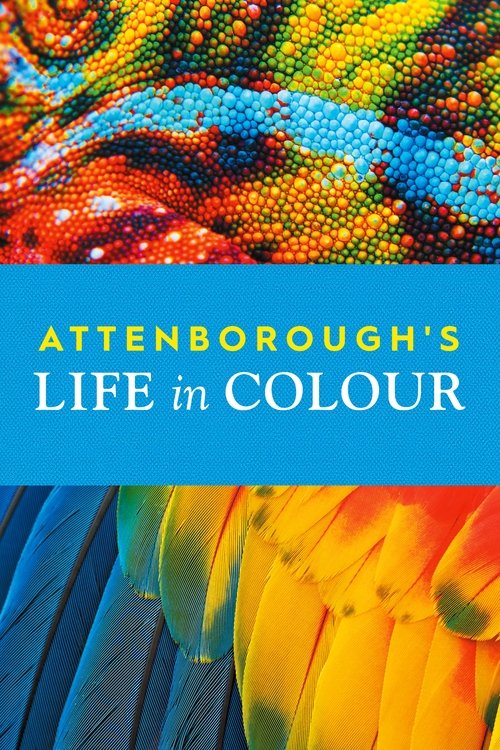 Attenborough's Life in Colour (2021) TV show poster