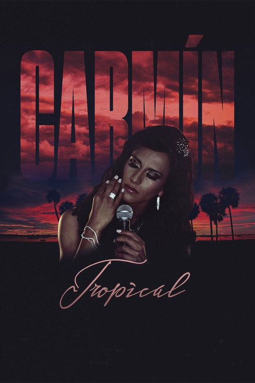 Carmín Tropical (2014) movie poster