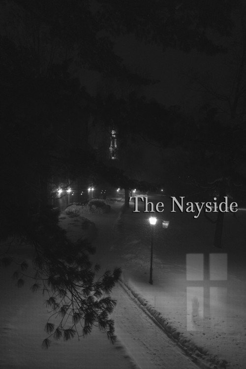 The Nayside movie poster