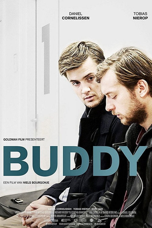 Buddy (2015) movie poster