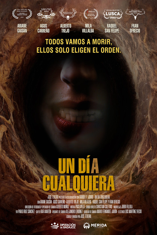 Any Day (2024) movie poster