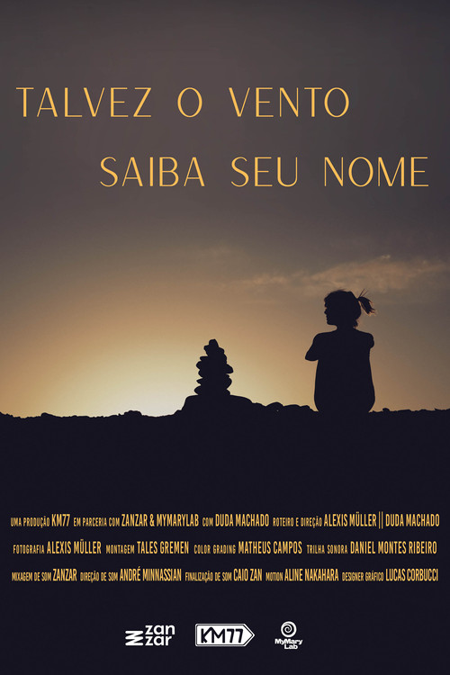 Talvez o Vento Saiba seu Nome (2024) movie poster