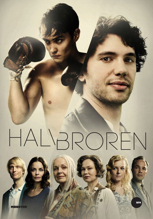 The Half Brother (2013) TV show poster