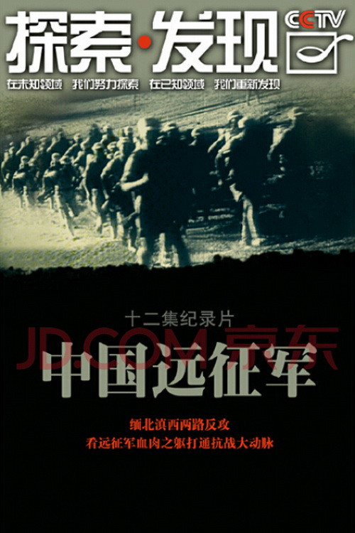 中国远征军 (2010) TV show poster