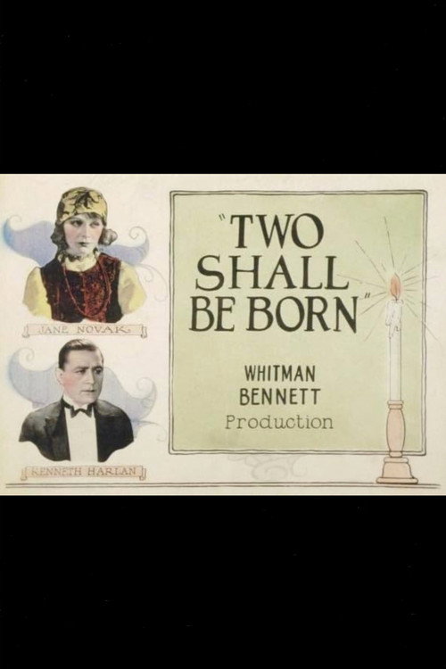 Two Shall Be Born (1924) movie poster