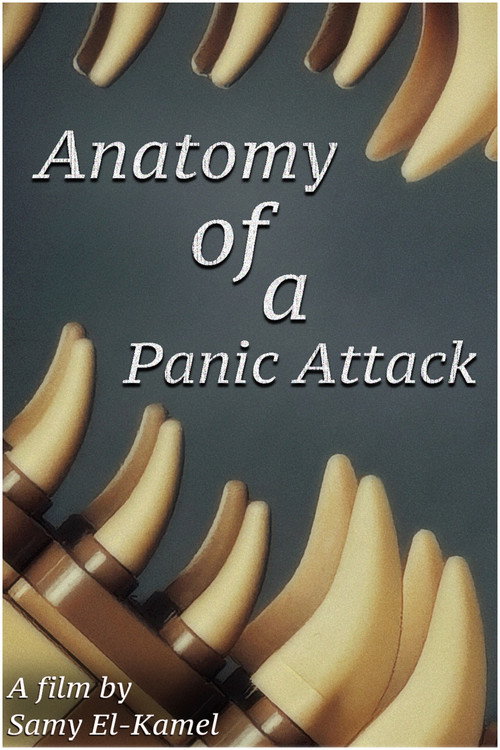 Anatomy Of A Panic Attack (2025) movie poster
