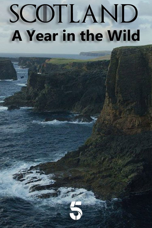 Scotland: A Year In The Wild (2021) TV show poster