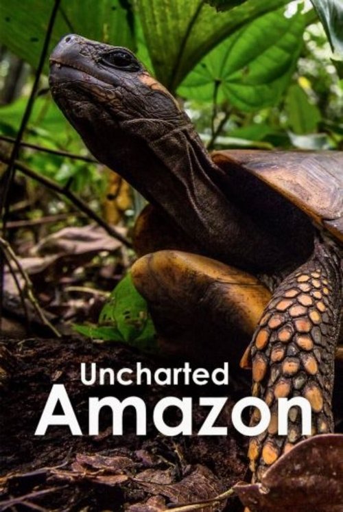 Uncharted Amazon (2016) movie poster