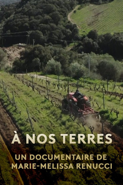 À nos terres : Autonomia paisana (2024) movie poster