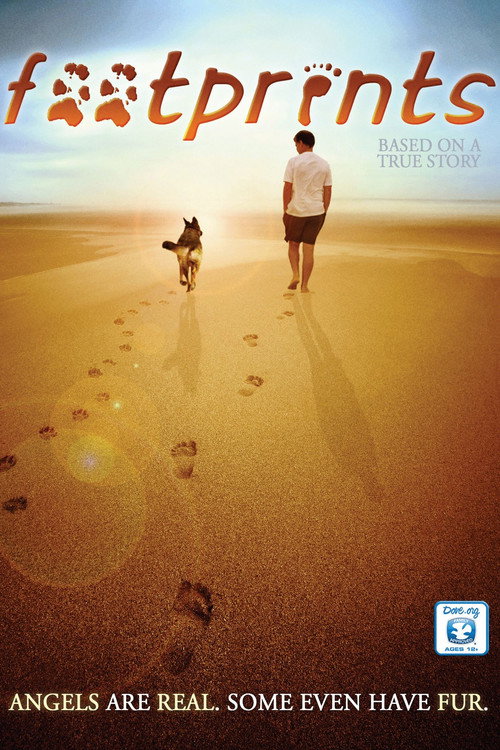 Footprints (2011) movie poster