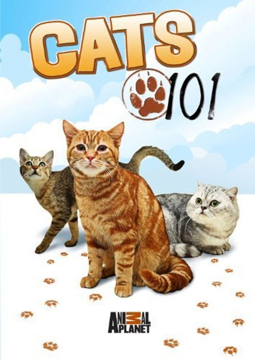 Cats 101 (2008) TV show poster
