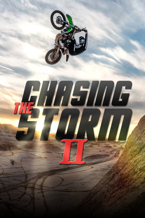 Chasing The Storm 2 (2017) movie poster