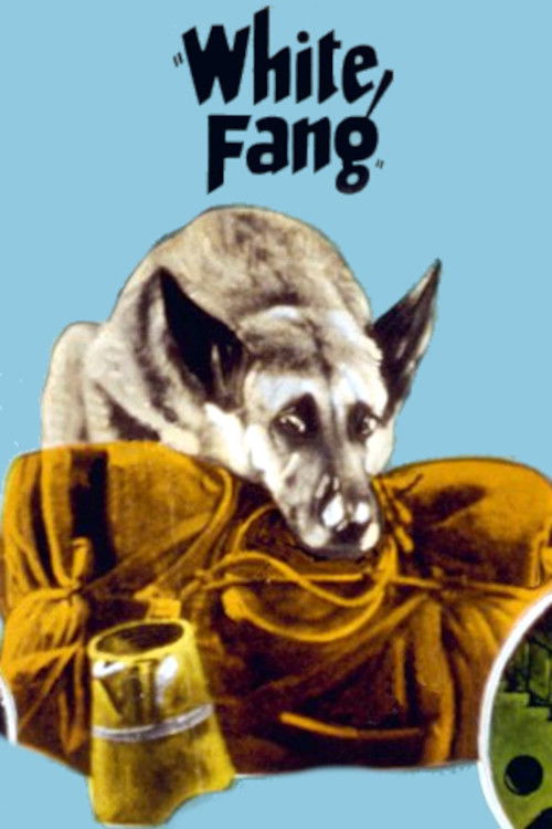 White Fang (1925) movie poster