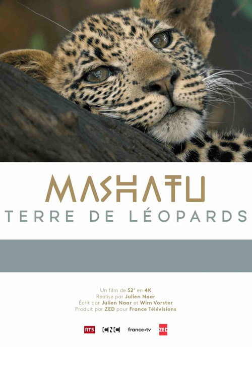 Mashatu: Land of Leopards (2024) movie poster