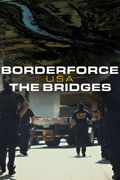 Borderforce USA: The Bridges (2019) TV show poster