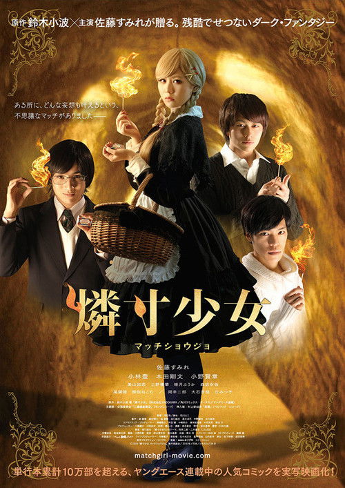 The Match Girl (2016) movie poster