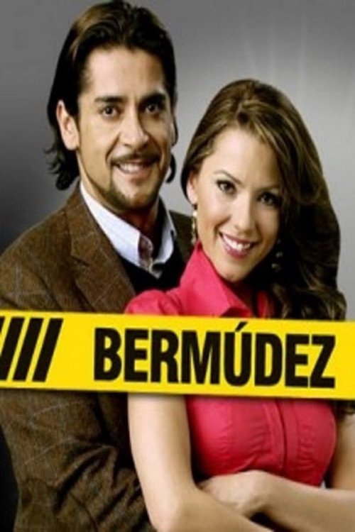 Bermúdez (2009) TV show poster